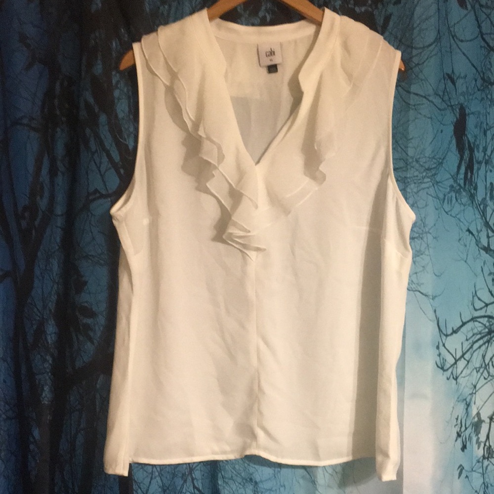 NWOT cabi portrait blouse size XL
